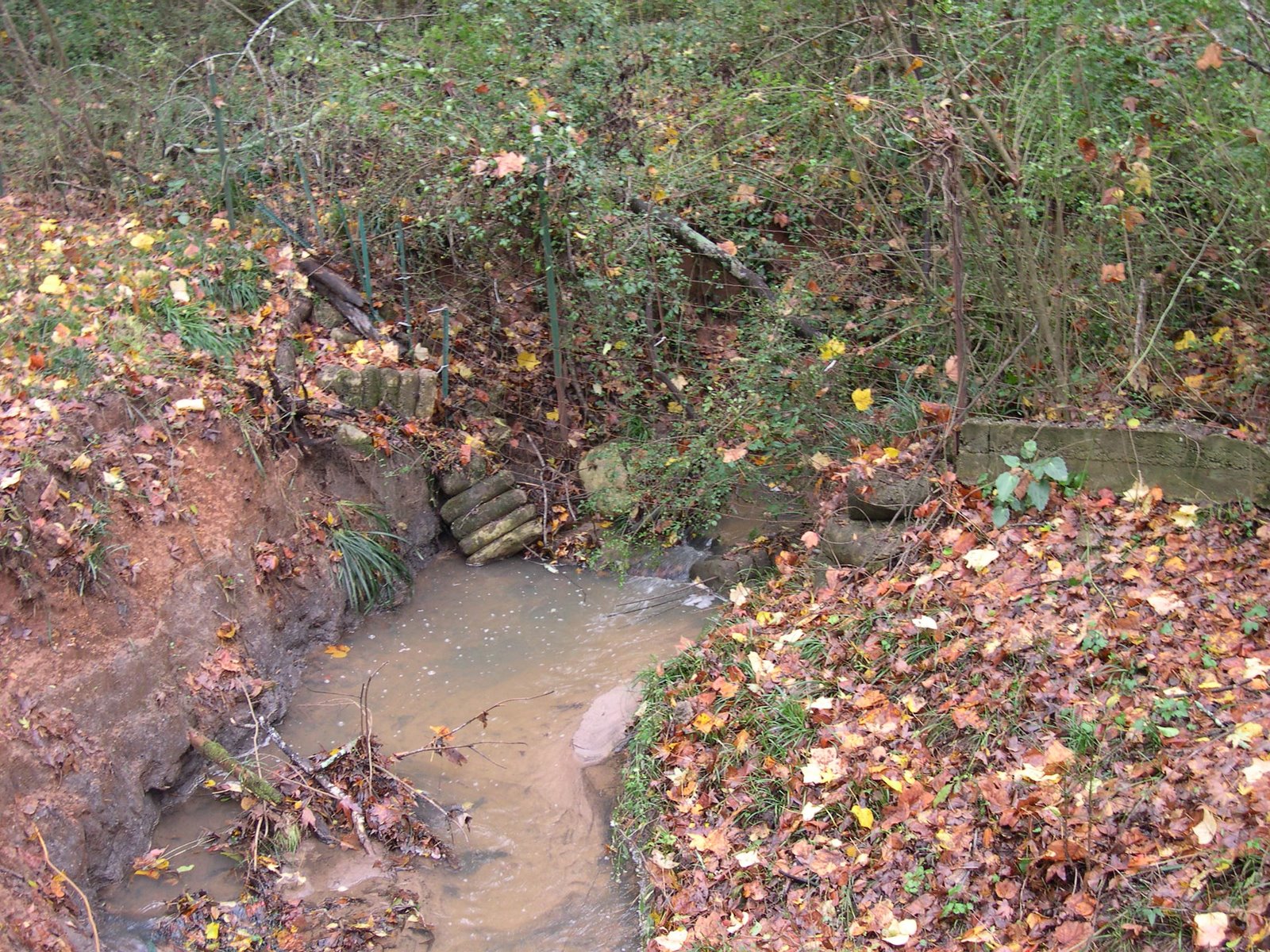 [DSCN0001.JPG]