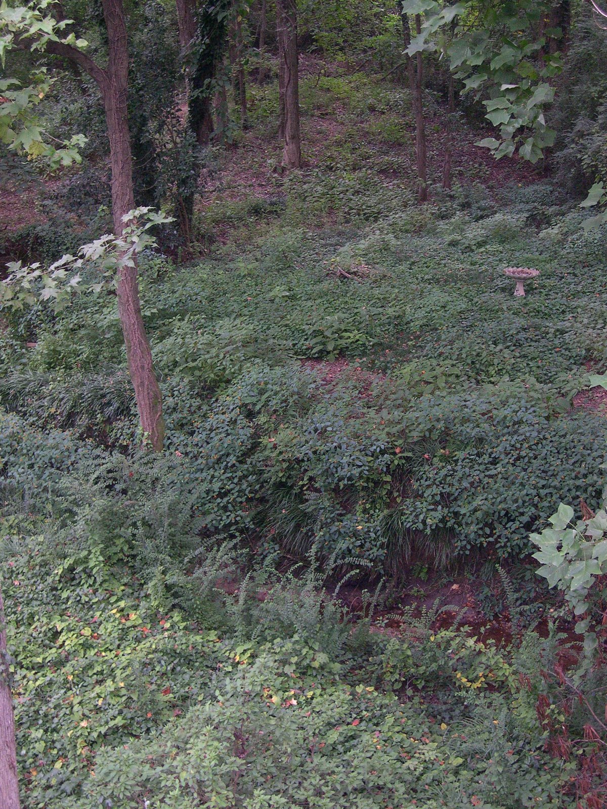 [DSCN0484.JPG]