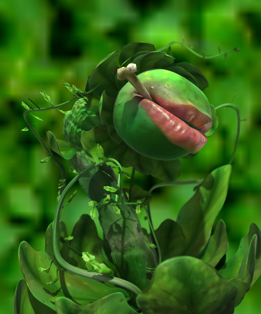 [carnivora.jpg]