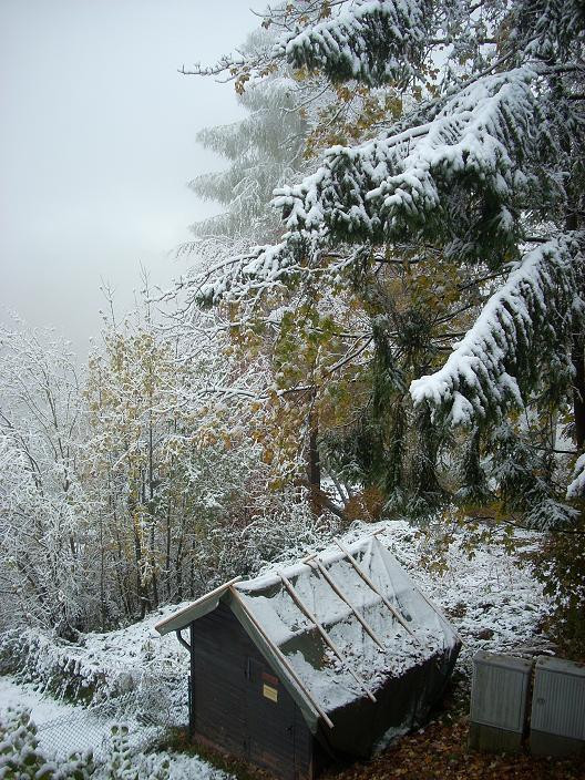 [firstsnow.jpg]