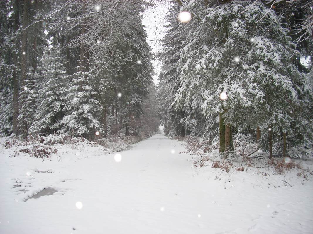 [snow.JPG]