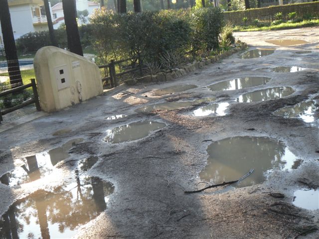 [SDC11949-764665.JPG]