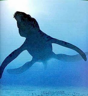 Maior dinossauro aquático