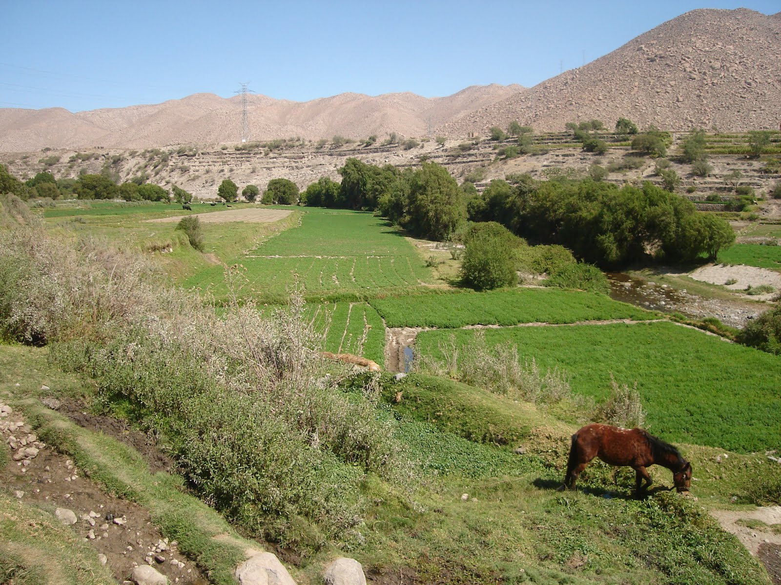 SOCABAYA TRADICION Y SENTIMIENTO HIMNO DE SOCABAYA