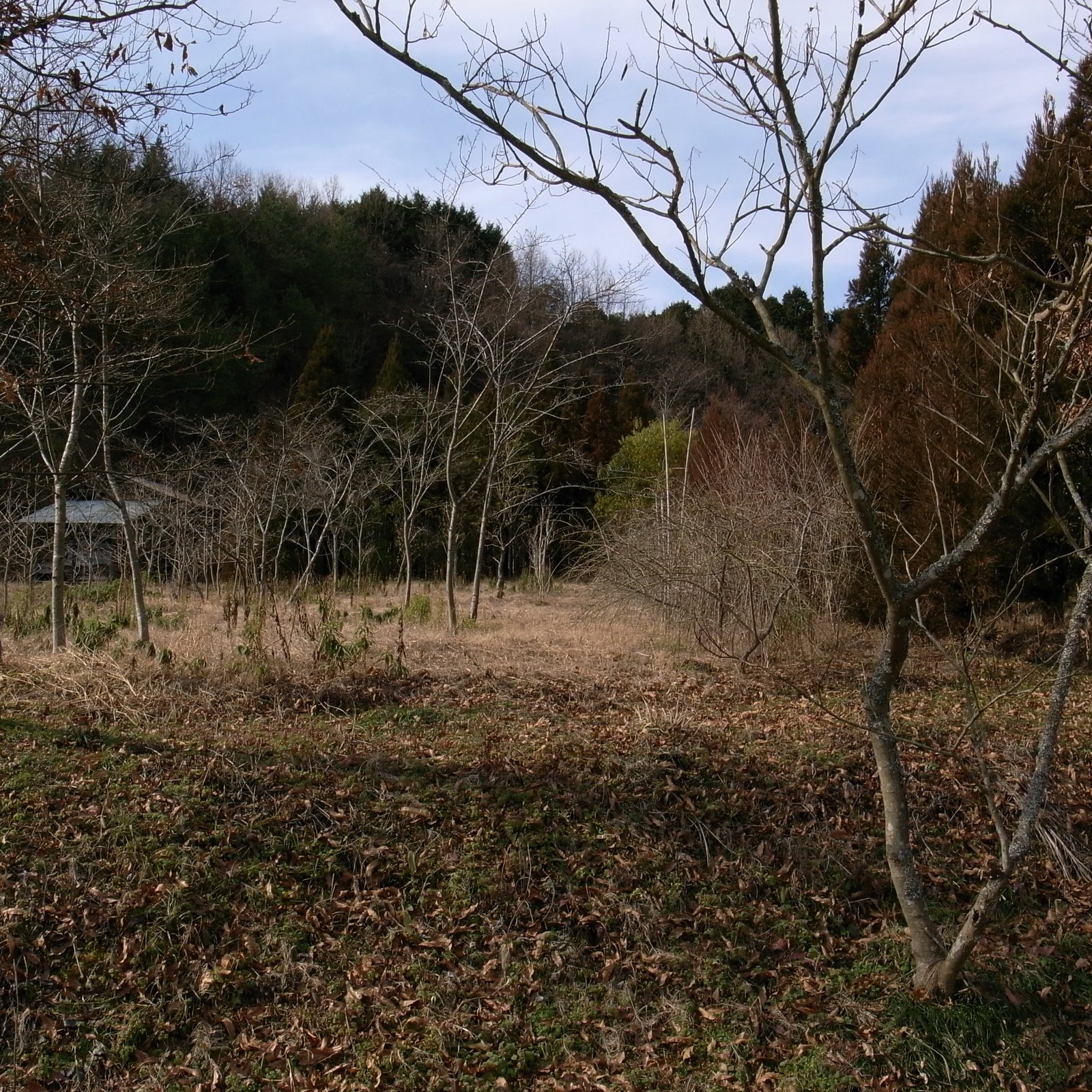[R0021404.JPG]