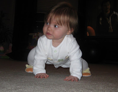 Stages Of Crawling