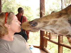 Giraffe Face