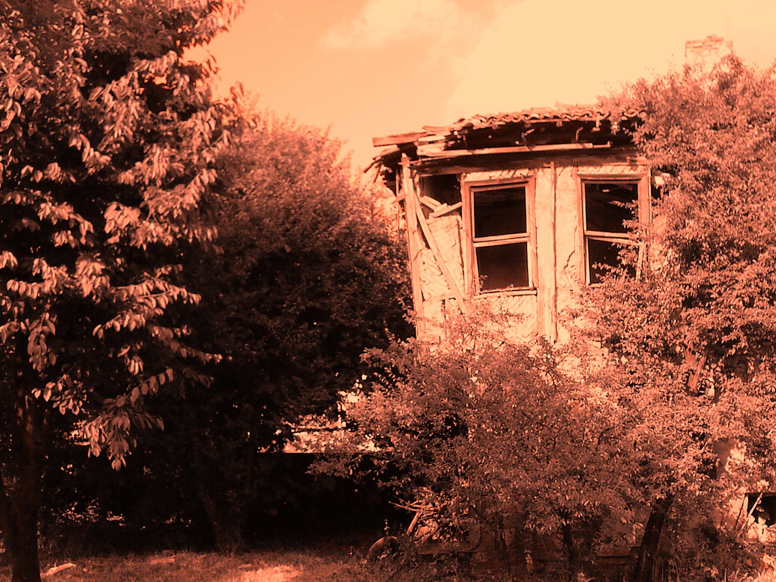 [Fodddggdtoğraf-0404.jpg]