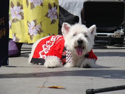 NeNe dog at Nisei Week Festival