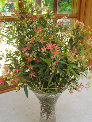 amour amour Australian weddings resources. Real Weddings, wedding