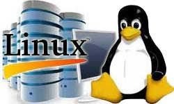 Linux Web Hosting Services image
