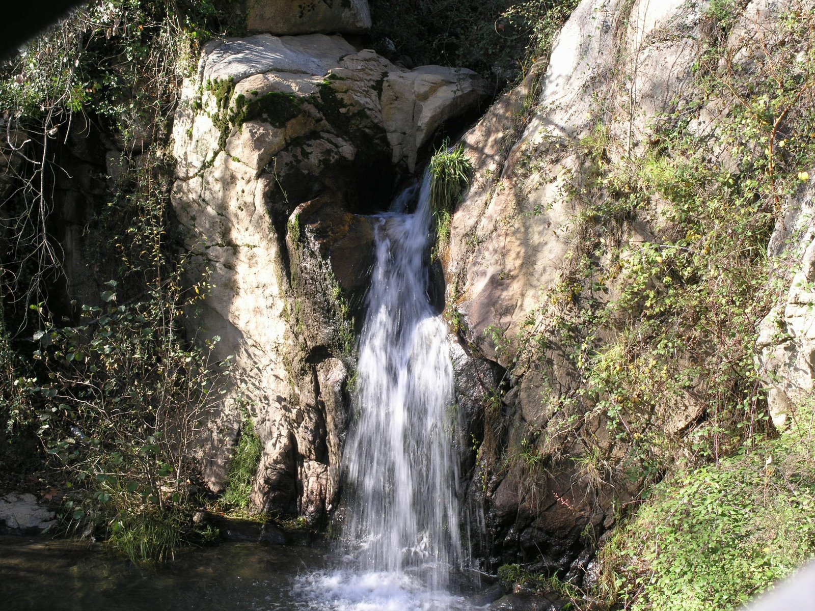 [PC097396.JPG]