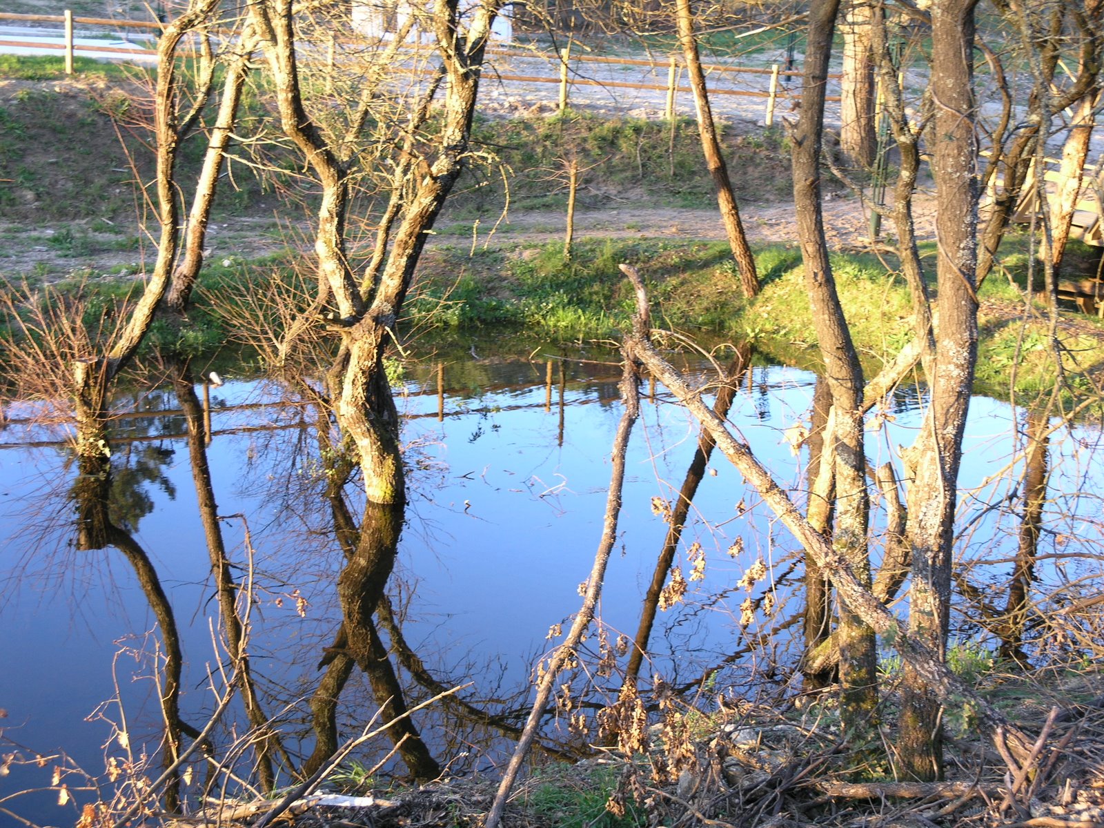 [P2128136.JPG]