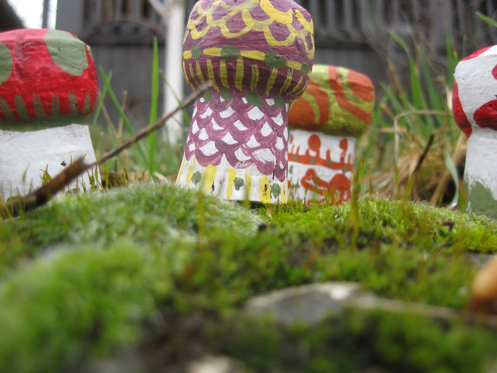 Oyster mushroom thesis picture