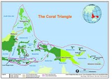 Coral Triangle Initiative (CTI)