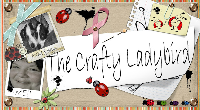 The Crafty Ladybird