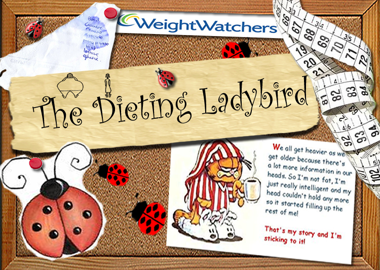 The Dieting Ladybird