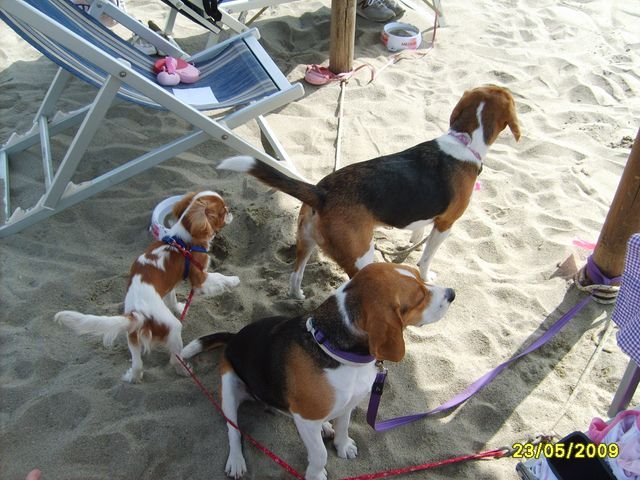 al mare con wendy e maya!