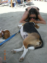 my love...my dog!