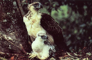 Sưu tập tiền theo chủ đê -- động vật trên tiền - 9