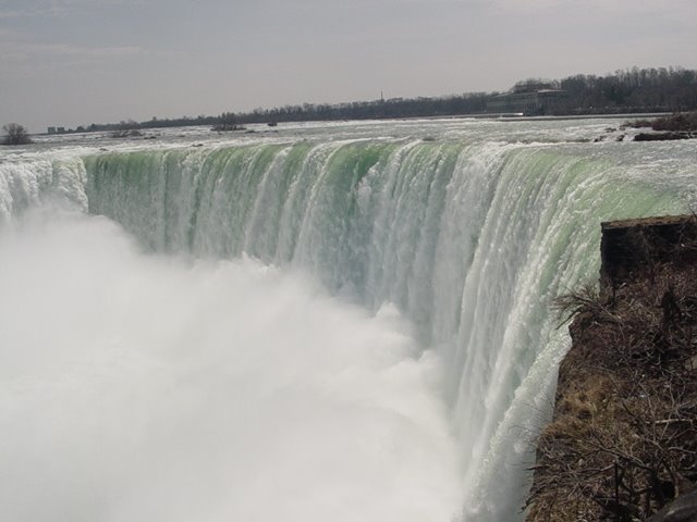 [DSC01789.JPG]