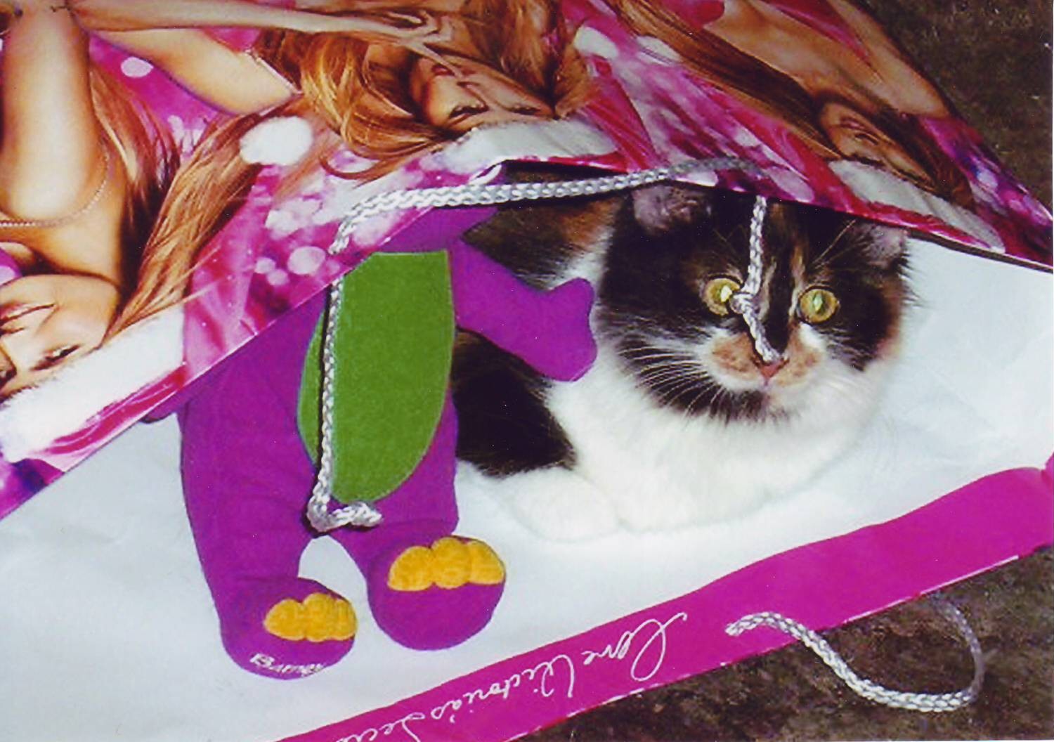 Cats Kids And Crafts More Cat Tails