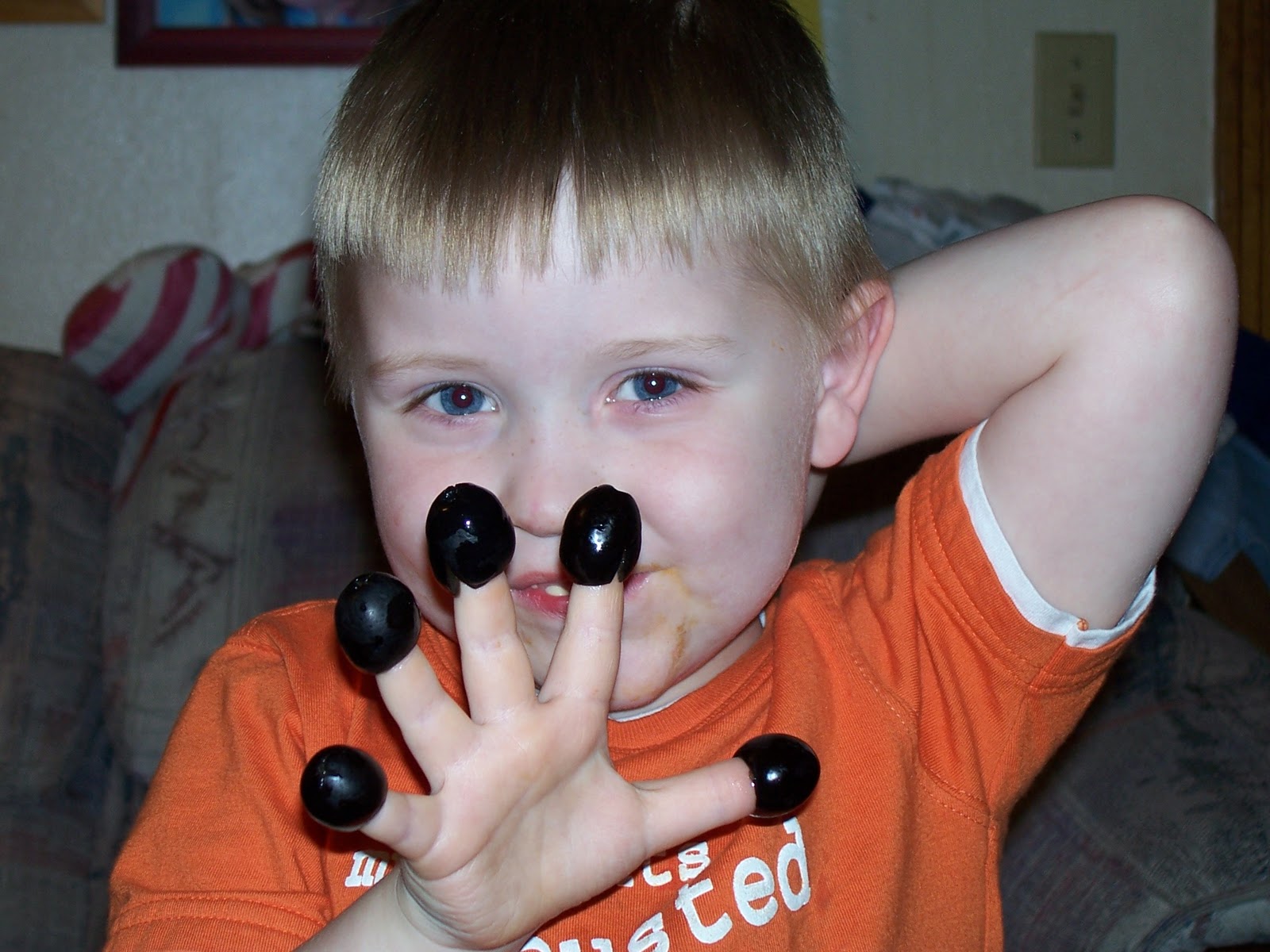 Cats, Kids and Crafts Black Olives