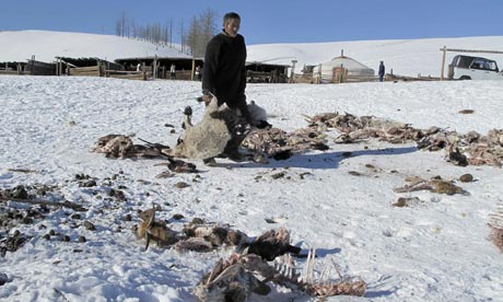 [Mongolia22.jpg]