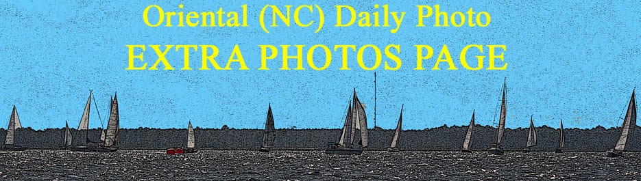 Oriental Daily Photo - Extra