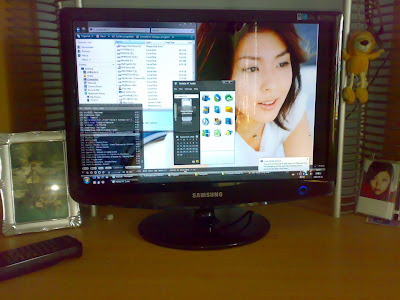 Hikaru Yuuki new installed monitor in vista