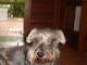 Minha foto