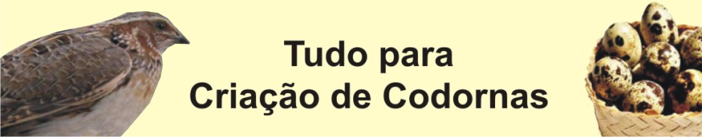 Criação de Codornas