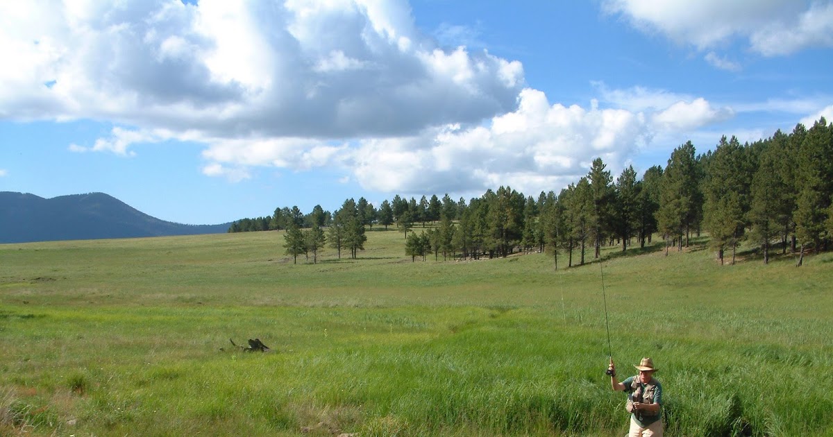 OUTDOORS NM Valle Caldera Opens East Fork of Jemez River to Public Fishing