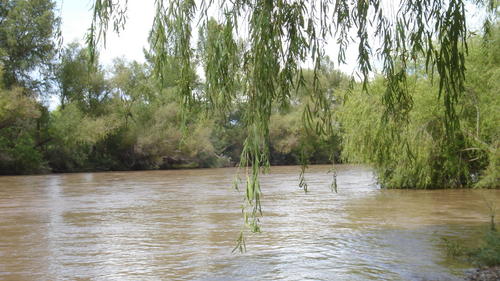El rio Nazas que bonitoooo...