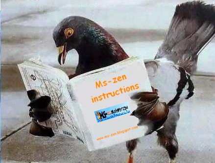 [Zen+instructions.bmp]