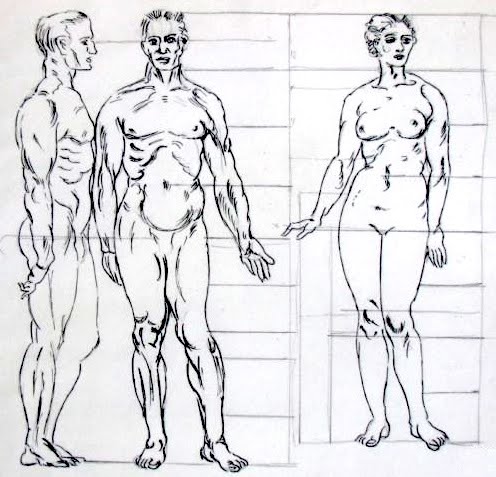 Figure Drawing Proportions