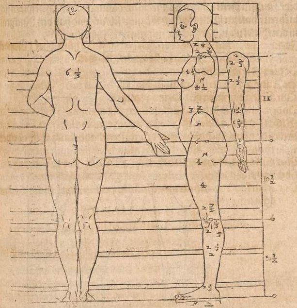 figure drawing heinrich lautensack male and female proportions
