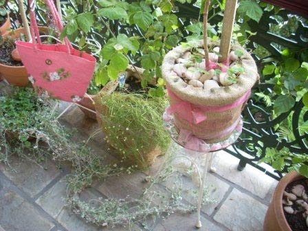 Diaries - highly effective Balcony Gardening tools for 2011 | Balcony