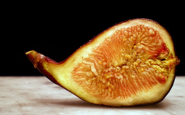 fig photo