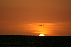 Clearwater Beach