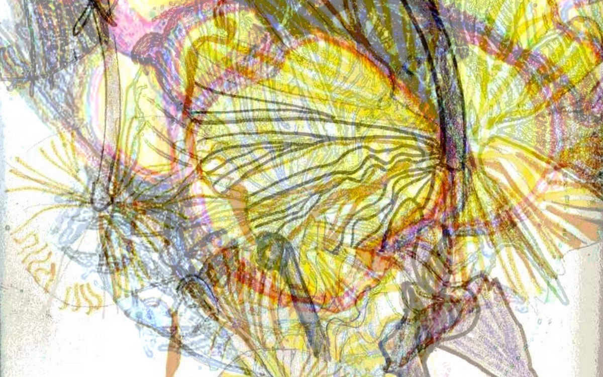 Geelong Visual Diary Garden sculptures and other things