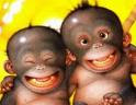 We're monkey brothers . .!!