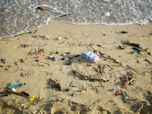 Plastic Garbage on Beach