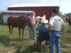 Every horse wanted Don's attention.