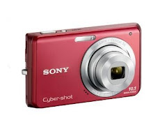 SONY 10.1