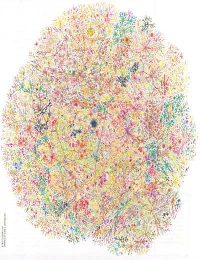 [scale_free_internet.jpg]