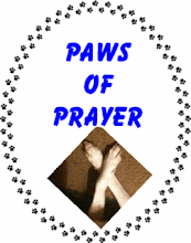 Paws of Prayer Circle