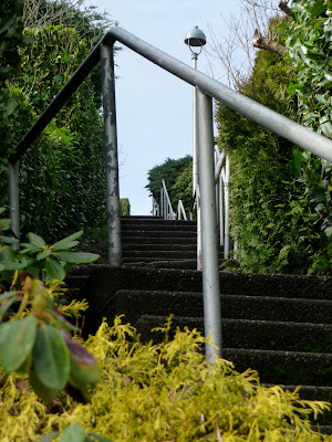 Laurelcrest Stairs