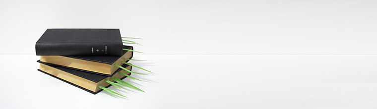 [head-img3.jpg]