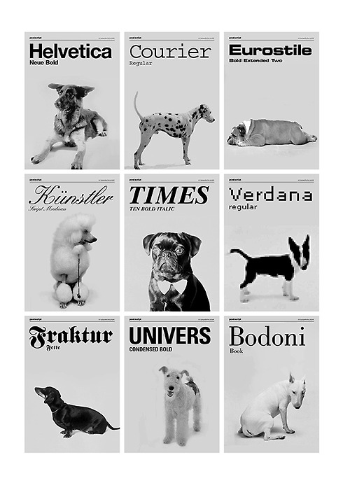[perros.jpg]